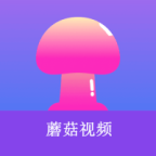 WWW,131se·COM网站APPAPP应用